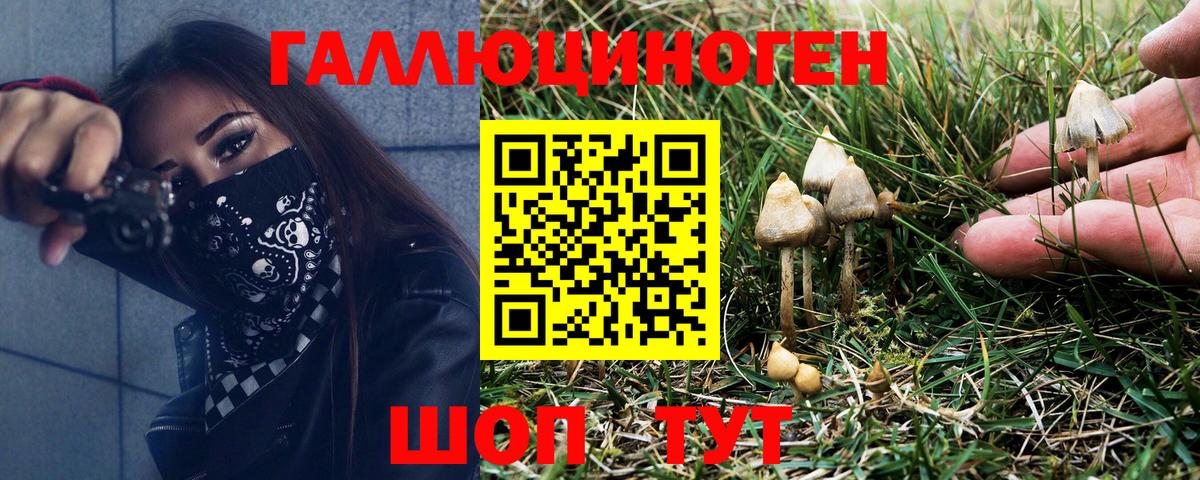 Псилоцибиновые грибы мухоморы Новоалександровск