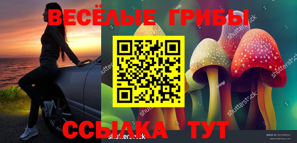 сколько стоит  Вход с VPN  Новоалександровск  Псилоцибиновые грибы мицелий 